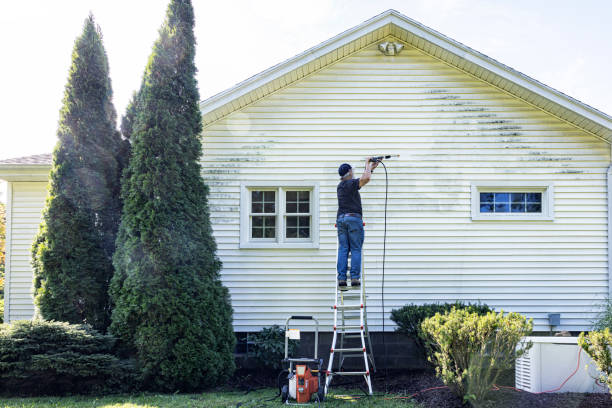 Professional  Pressure Washing Services in Lorenz Park, NY